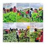 Licence en Sciences Agronomiques
